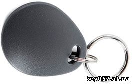 Универсальный ключ для домофонов ТехКом прокси (радиометка RFID)